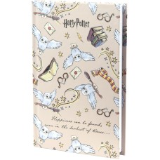 Notebook Kite Harry Potter HP23-199-2, hard cover, А6, 80 sheets, squared 1